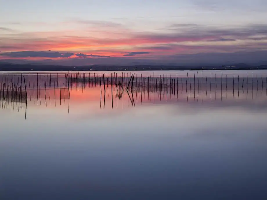 Paseo en barca por la Albufera al caer la tarde