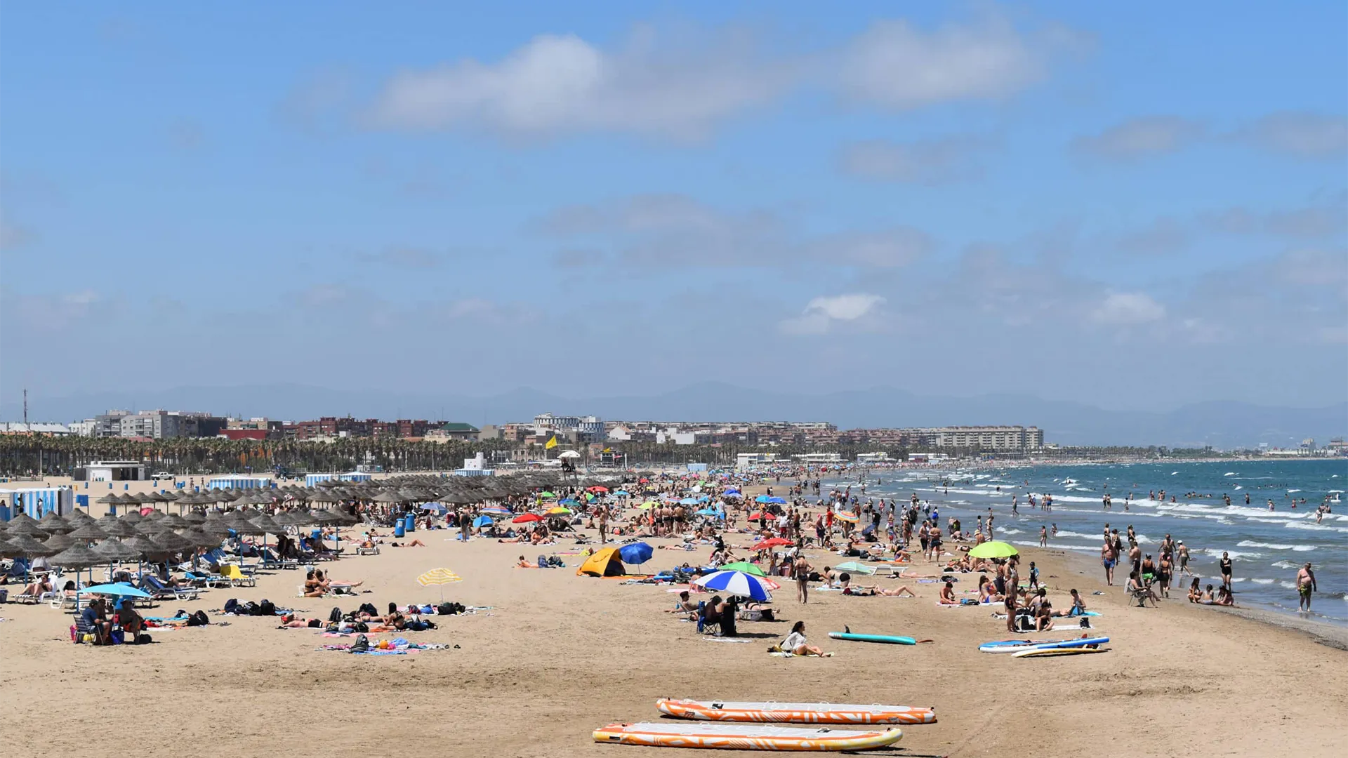Playa de arena y palmeras en la costa de Valencia
