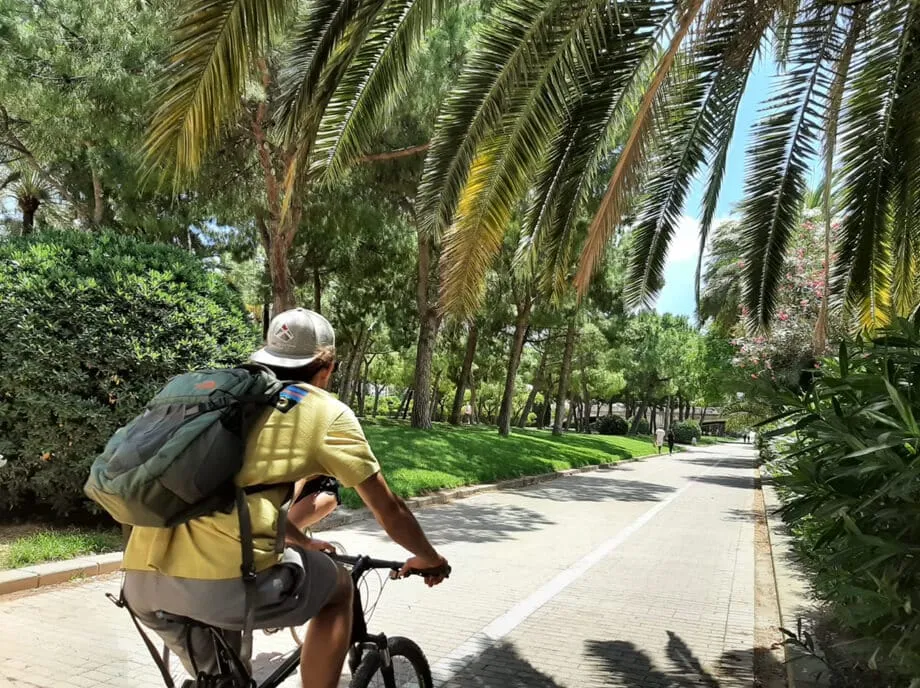 Puentes históricos sobre el Jardín del Turia de Valencia