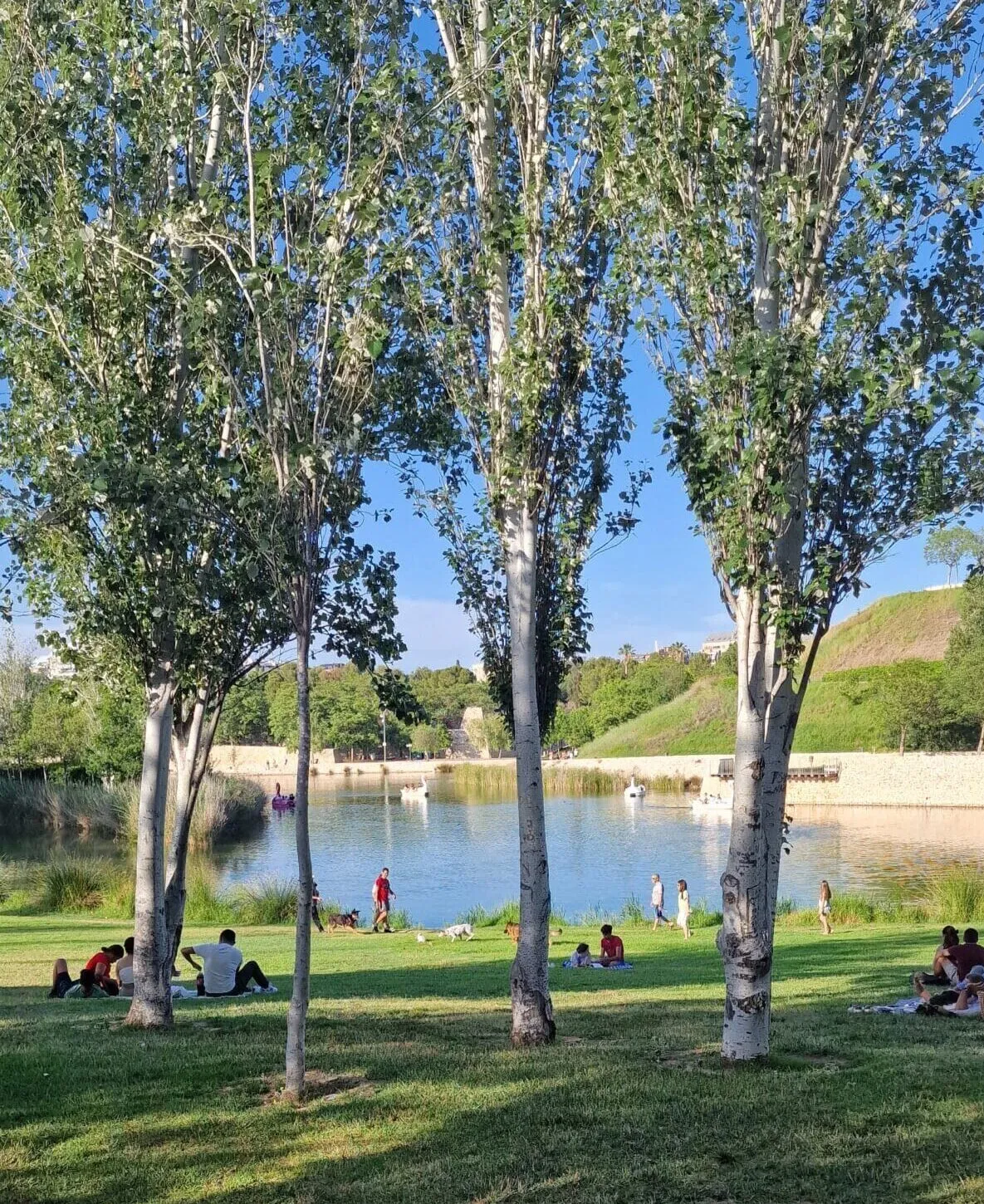 Lago y colina del Parque de Cabecera de Valencia