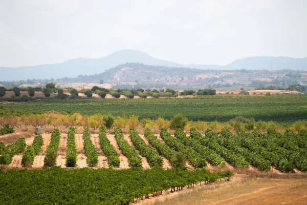 Excursión de otoño por los alrededores de Valencia