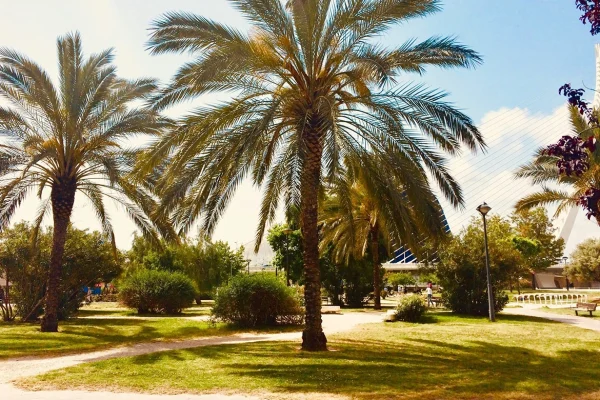 Planes gratis en Valencia: parques, playas y calles del centro