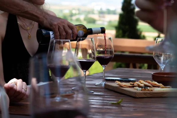 Copa de vino tinto de la D.O. Utiel-Requena en bodega