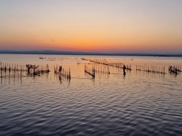 Arrozales del Parque Natural de la Albufera