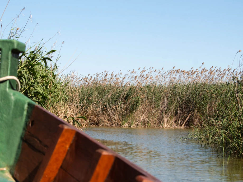 recorrido por la Albufera