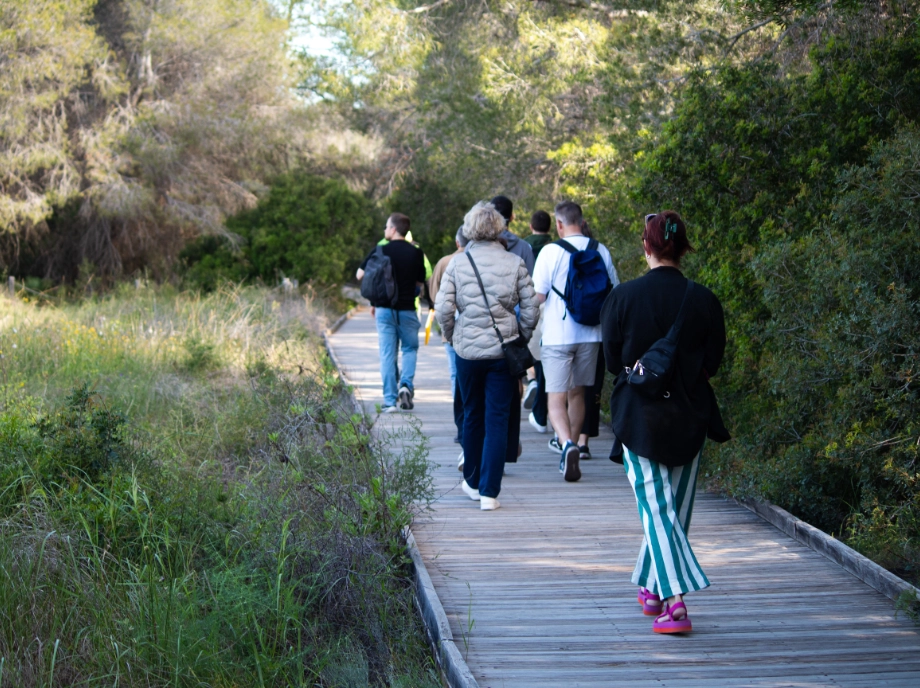Recorrido por la Albufera