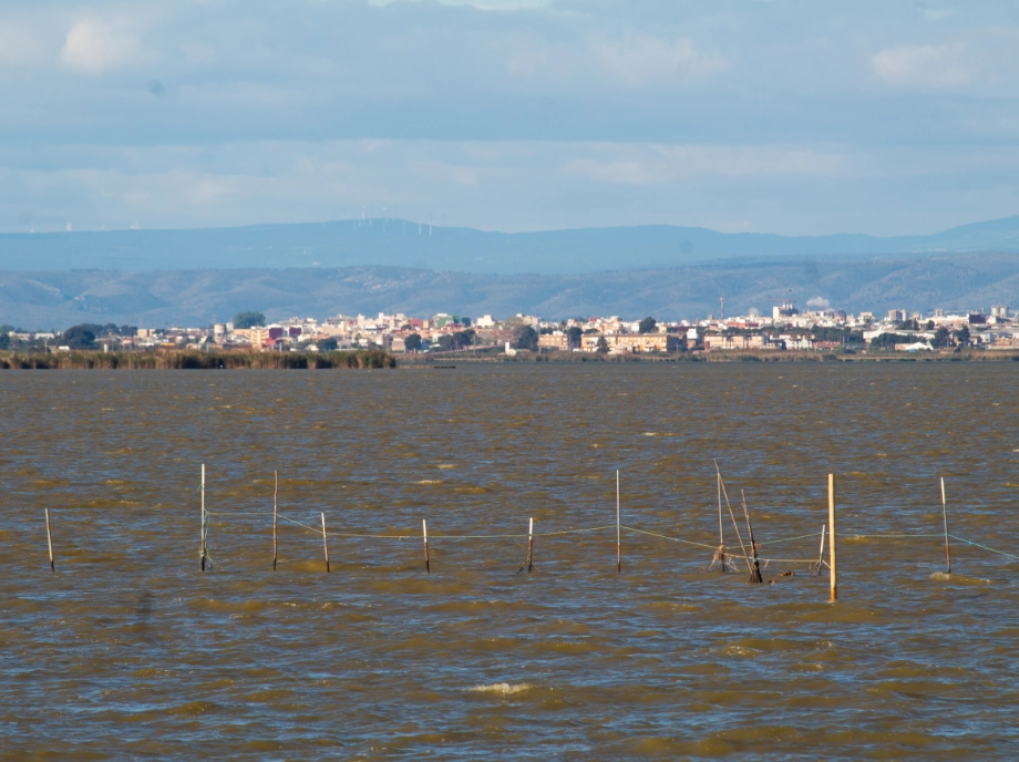Vistas de la Albufera