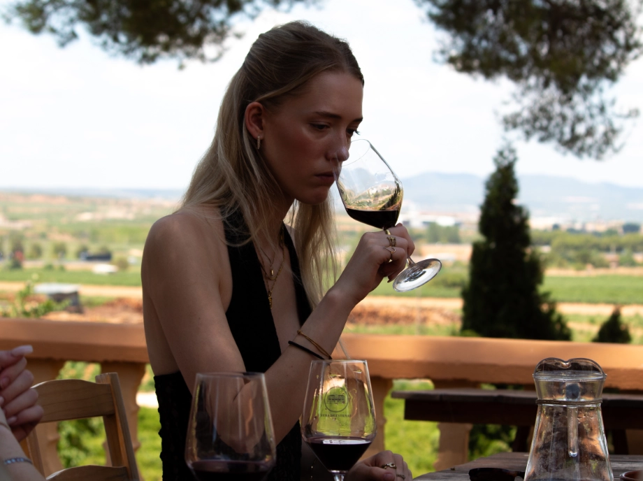 Cata de vinos en una bodega de Utiel-Requena