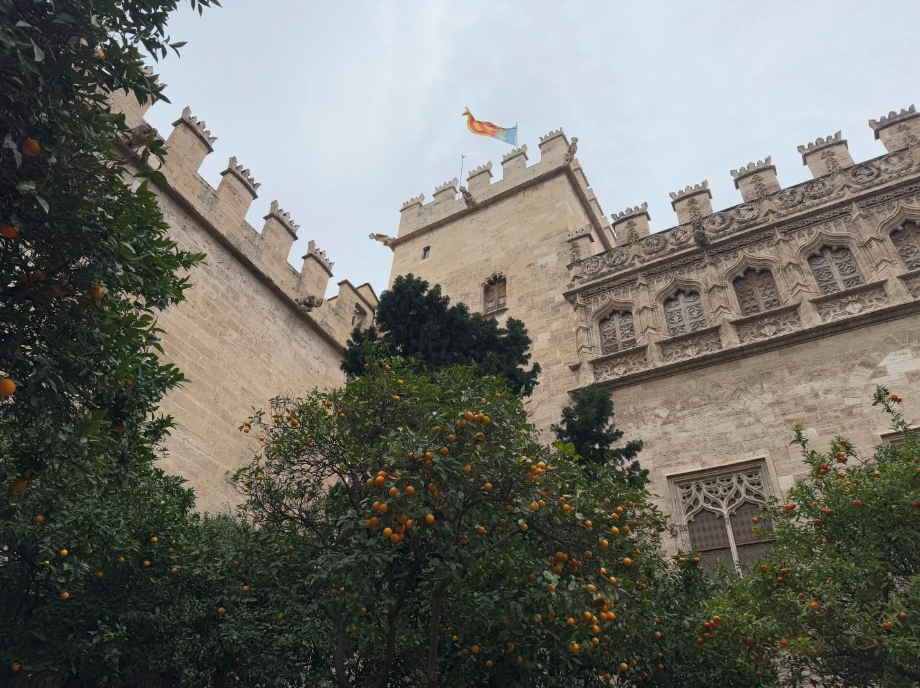 Murallas y torres del Valencia medieval